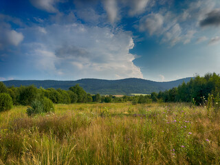 Obraz premium The landscape of Carpathian Mountains in the cloudy weather. Perfect weather condition in the summer season