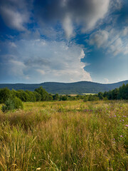 The landscape of Carpathian Mountains in the cloudy weather. Perfect weather condition in the summer season