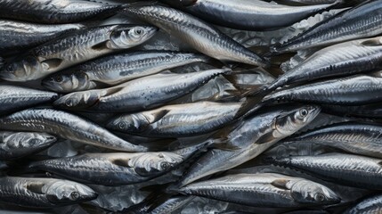 Fresh fish lying on bed of ice at market display, promising a healthy meal rich in omega-3 and protein