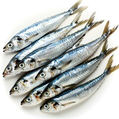 Fresh Mackerel Fish on White Background