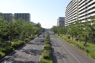 A Street Surrounded by Residential Buildings in a Suburban City