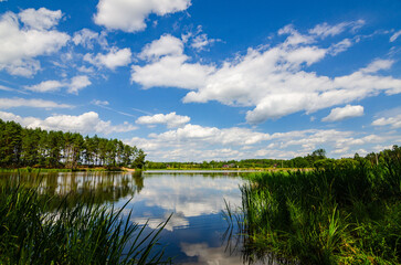 World Water Day. View of Lake, Forest and Green Meadow Near the Water in Sunny Summer Day. Clouds in the Sky. Lithuania