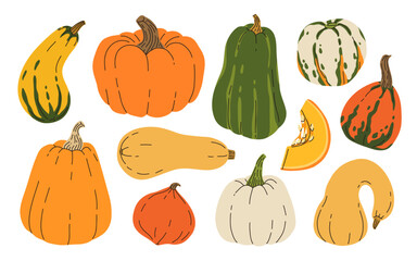 Different types of pumpkins vector set isolated on white background. Various autumn pumpkins big collection hand drawn in flat style. Thanksgiving Halloween holiday cute illustration