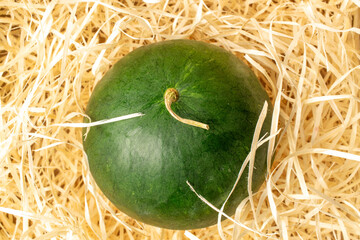 One juicy watermelon in wood shavings, top view.