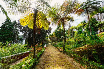 Monte Palace, Tropical Garden with Waterfalls, Lakes and traditional buildings above the city of...