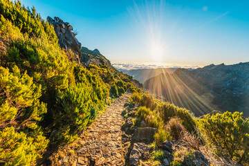 Hiking on the highest peak of Madeira Pico Ruivo next to the cottage Abrigo do Pico Ruivo. Views of...