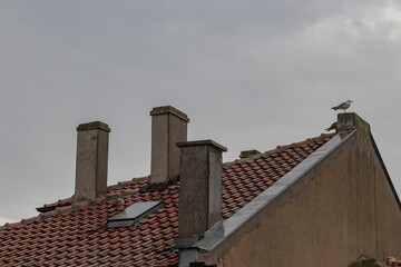 
the roof of the house is covered with tiles, there are three chimneys, seagulls sit on the roof of...