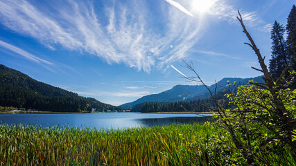 Blick auf den Spitzingsee vom Ufer aus in Richtung Süden