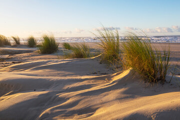 Sand dunes on coast