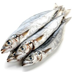 Obraz premium Fresh Fish on a White Background