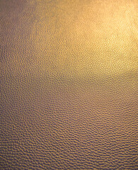 Skin texture close up. Leather Products. Bright colors. Macro seed. 