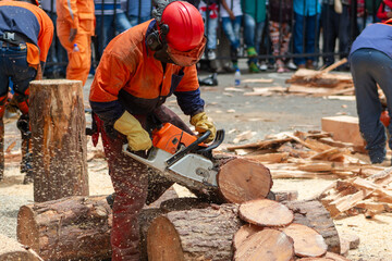 person cutting log with chainsaw