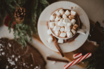 Hot Chocolate and Marshmallows