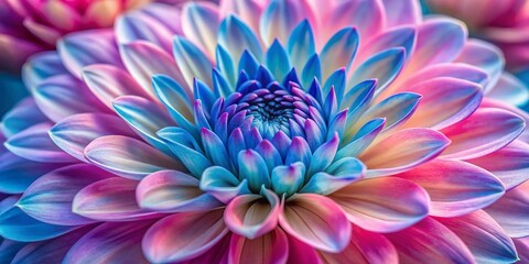 Fototapeta premium Vibrant pink and blue flower blooms in close-up view, showcasing delicate petals, intricate details, and soft natural light, creating a stunning visual masterpiece.