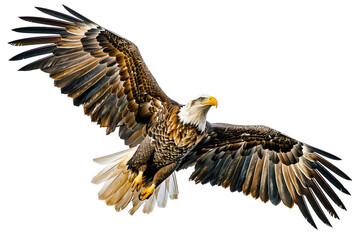 Fototapeta premium Majestic Bald Eagle Flying Isolated on Transparent