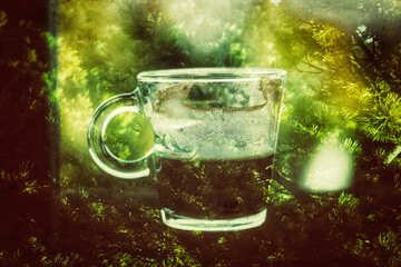 A small clear glass cup with delicious black coffee against a green coniferous forest backdrop. Sunny morning in a wood Half-filled mug with hot drink