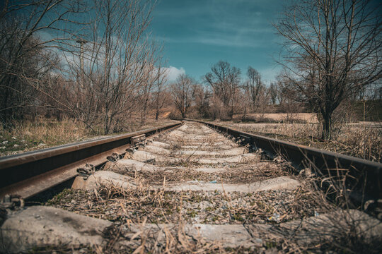 railroad tracks in the forest