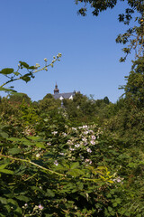 Fototapete bei efototapeten.de bestellen   