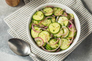 Gourmet Healthy Cucumber Salad