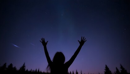 Silhouette Against Starry Night Sky and Aurora