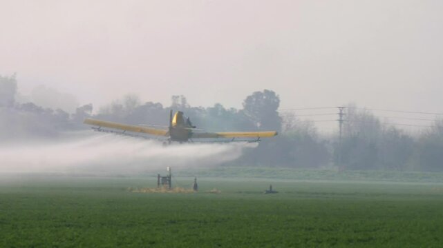 Airplane spraying Wheat fields, Hula Valley, Israel