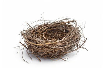 Obraz premium A single bird nest standing out against white background