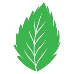 illustration of green leaf