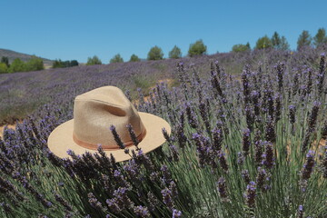 sombrero mimbre sobre campo lavanda 