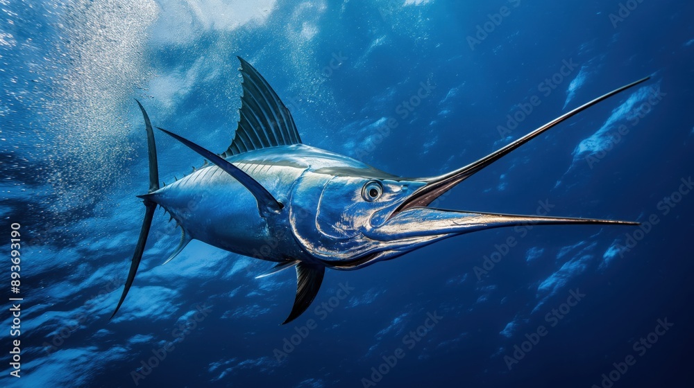 Sticker underwater close-up view of a marlin fish swimming in the deep blue ocean with sun rays shining thro