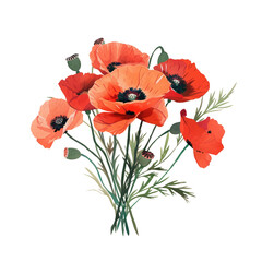 Fototapeta premium A bouquet of red flowers with a white background