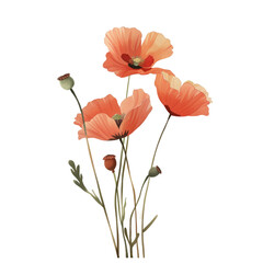 Naklejka premium A bouquet of red flowers with a white background