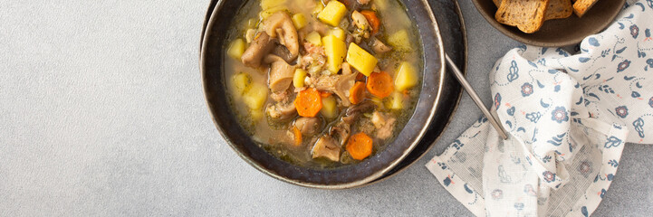 Oyster mushroom soup in plates, soup made from Pleurotus mushrooms and potatoes, carrots and spices, top view, copy space, banner