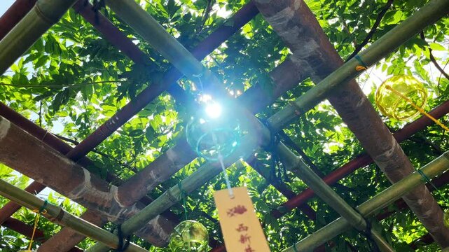西新井大師　藤棚で風に揺れ光輝く風鈴