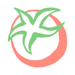 Tomato drawing hand painted with ink brush. Png clipart isolated on transparent background