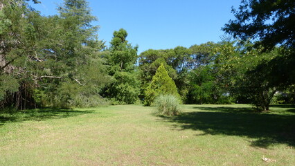 landscape with trees
