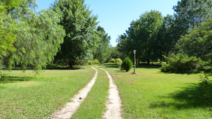 path between trees