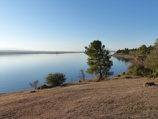 lake and trees
