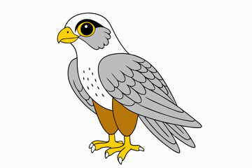 A Falcon vector art illustration