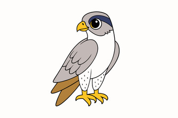 A Falcon vector art illustration