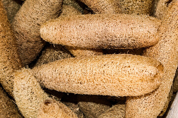 Vegetable sponges or vegetable loofah, used as a bath exfoliant, made from the fruit of Luffa...