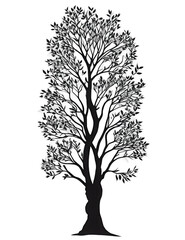 Obraz premium Silhouette of tree isolated on transparent background