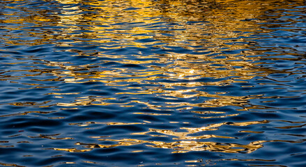 The surface of a calm body of water is rippled, with golden reflections of the sun shimmering on the surface. Golden reflections on rippling water