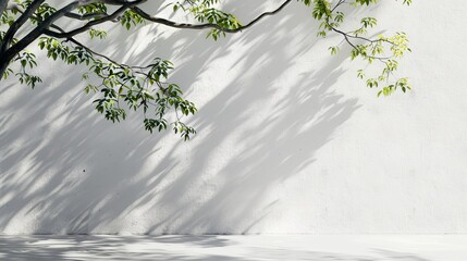 White Wall with Branch and Leaves Shadows, Minimalism , Background , Photography , Design