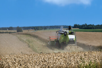 Modern combine harvester in action on a golden wheat field under a clear blue sky