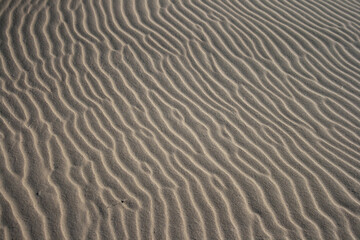 D&uuml;ne an Nordseestrand, Verwehung, Sand