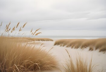 Pampas grass outdoor in light pastel colors. Dry reeds boho style   © Alexandra