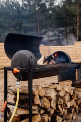 fire burns in a metal brazier against the backdrop of forest and nature