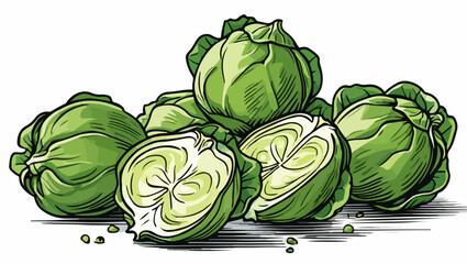 Naklejka premium Vector Illustration of Brussels Sprouts