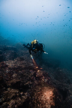Anonymous male diver exploring underwater sea life
