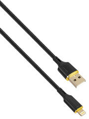 USB and Lightning connector cable